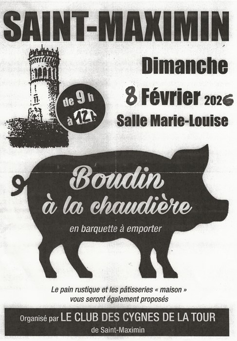 20260208_CYGNES_Boudin